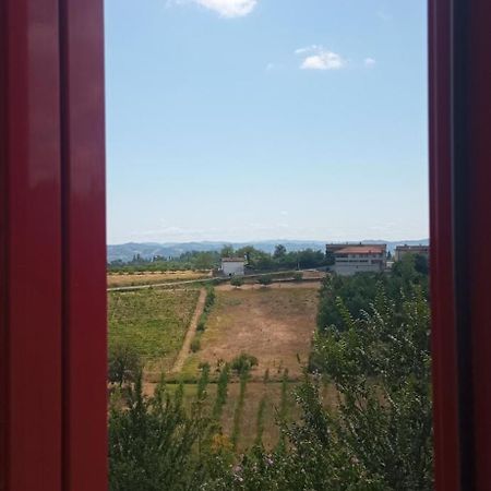 Vaglio Serra A Casa Di Anna Bed & Breakfast エクステリア 写真