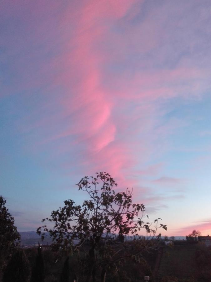 Vaglio Serra A Casa Di Anna Bed & Breakfast エクステリア 写真