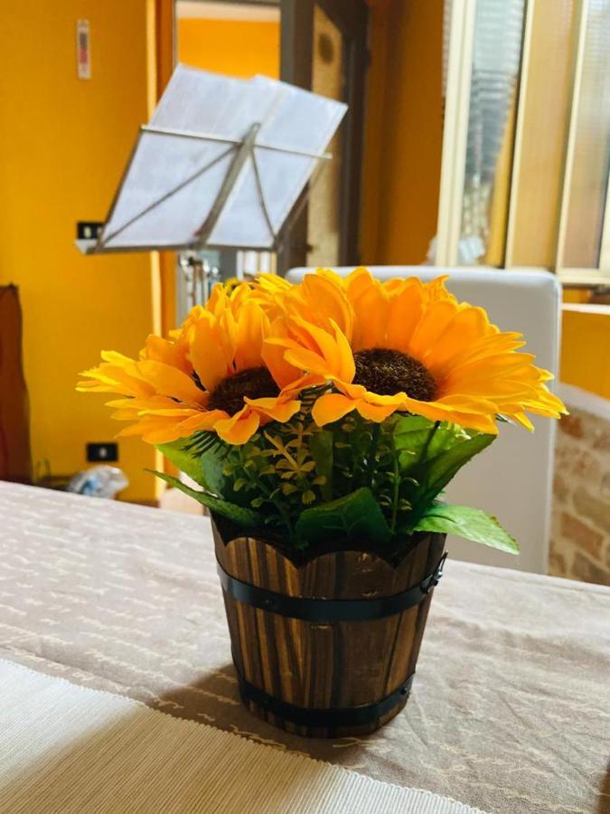 Vaglio Serra A Casa Di Anna Bed & Breakfast エクステリア 写真