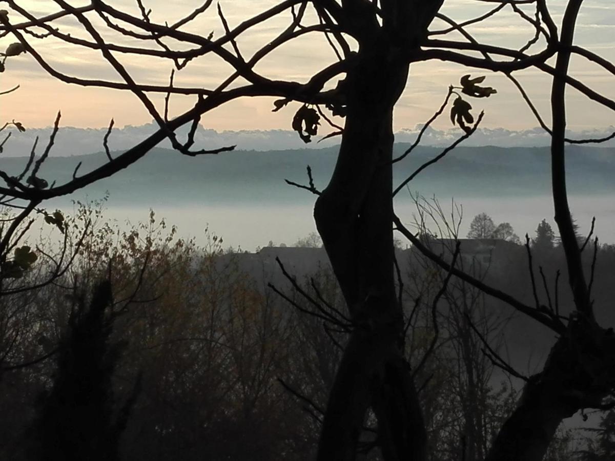 Vaglio Serra A Casa Di Anna Bed & Breakfast エクステリア 写真