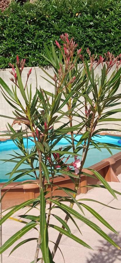 Vaglio Serra A Casa Di Anna Bed & Breakfast エクステリア 写真