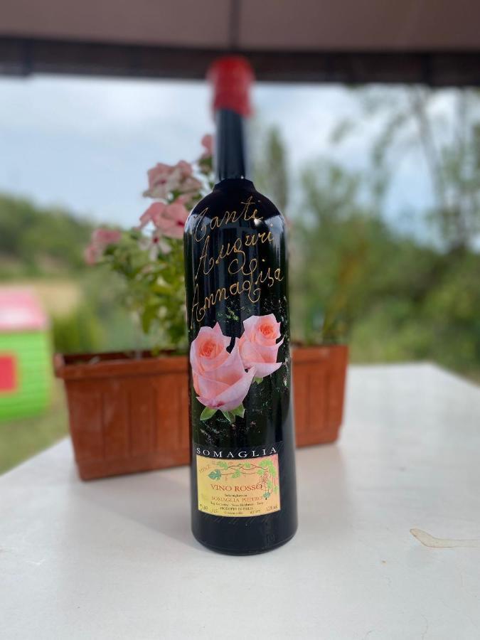 Vaglio Serra A Casa Di Anna Bed & Breakfast エクステリア 写真